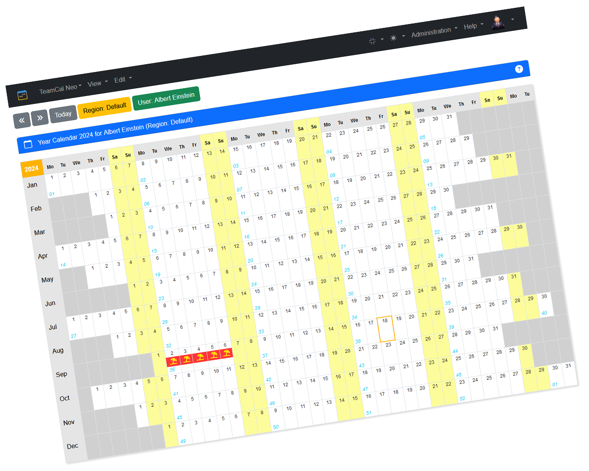 TeamCal Neo view Year